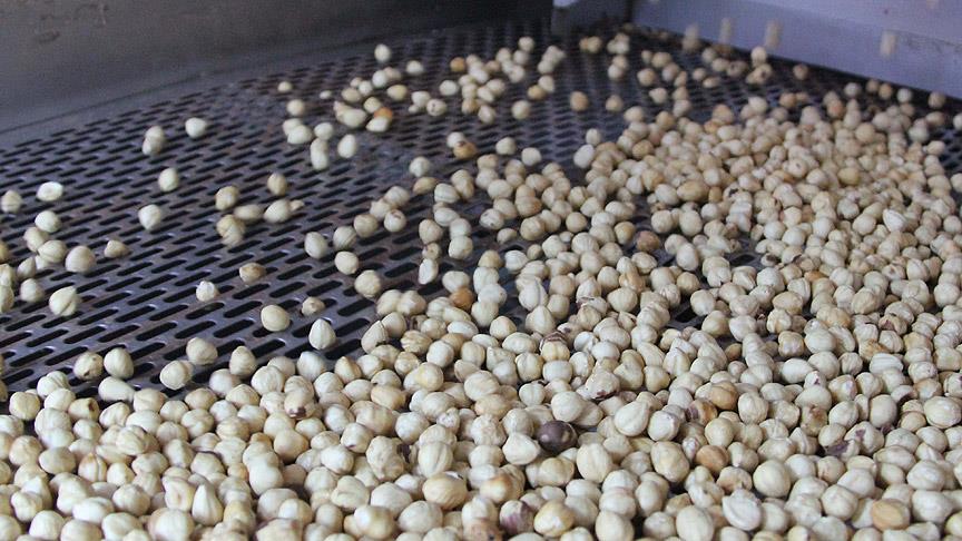 Chinezen eten steeds meer Turkse hazelnoten