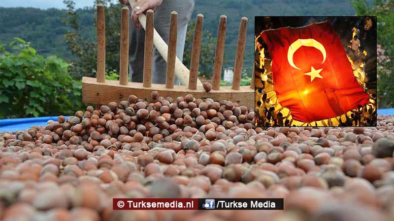 ‘Internationale aanval op Turkse hazelnoot’