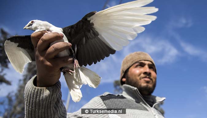 Zo vieren Syriërs de Turkse victorie op Daesh (IS)11