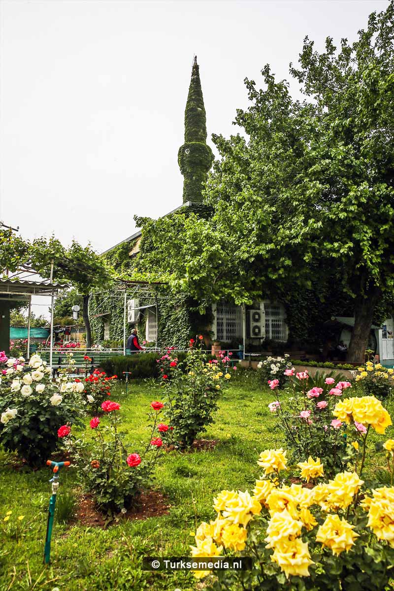 ‘Botanische’ Turkse moskee trekt veel bezoeker4