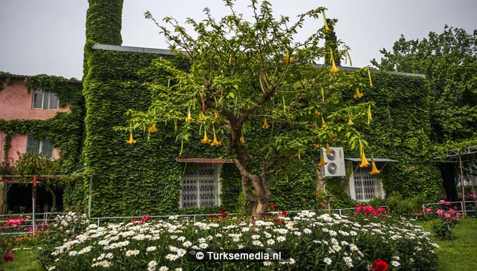 ‘Botanische’ Turkse moskee trekt veel bezoekers2