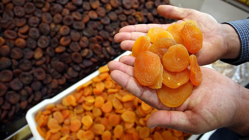 Turkey's Malatya apricots get EU geographical brand