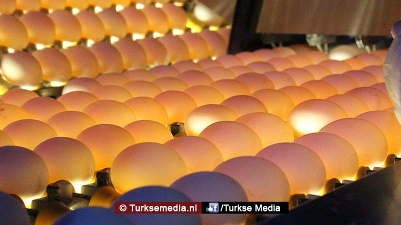 Géén fipronil in Turkse eieren, valse beschuldiging westerse media