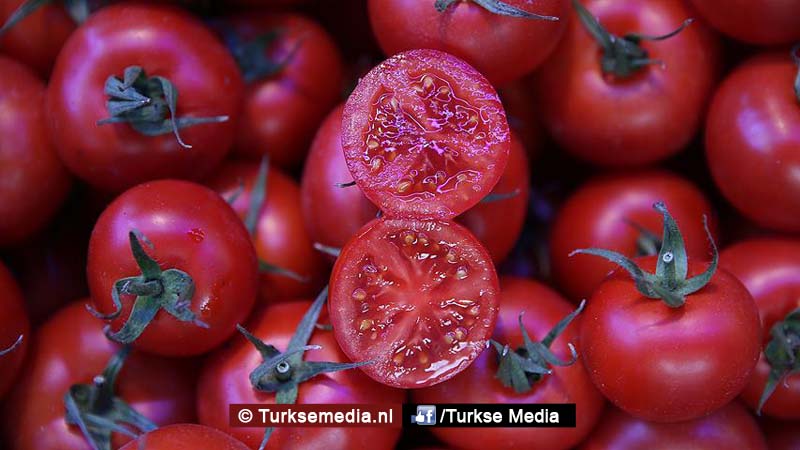 Rusland wil graag Turkse tomaten zien