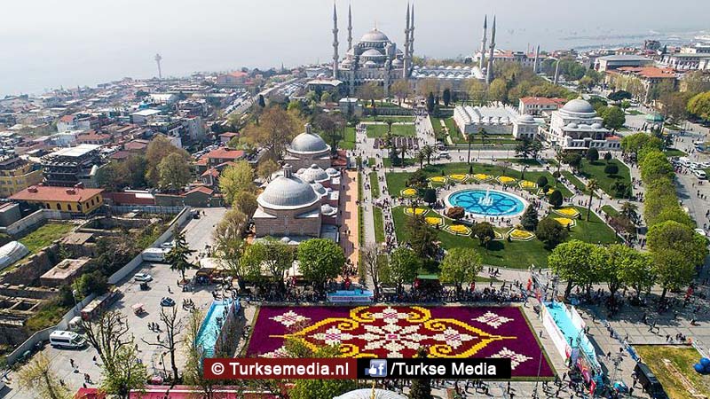 Turkije toont grootste tulpentapijt ter wereld: 'De tulp komt uit Turkije'