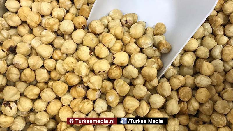 Turkije blijft grootste hazelnootexporteur ter wereld, Europa grootste klant