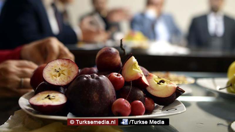 Turkse appel wacht op patent