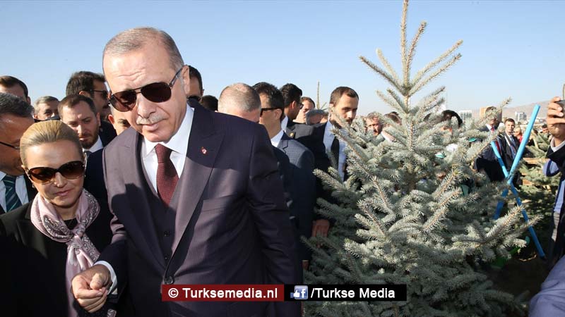 Erdoğan wil 7 miljard bomen: Turkije wereldleider in strijd tegen erosie