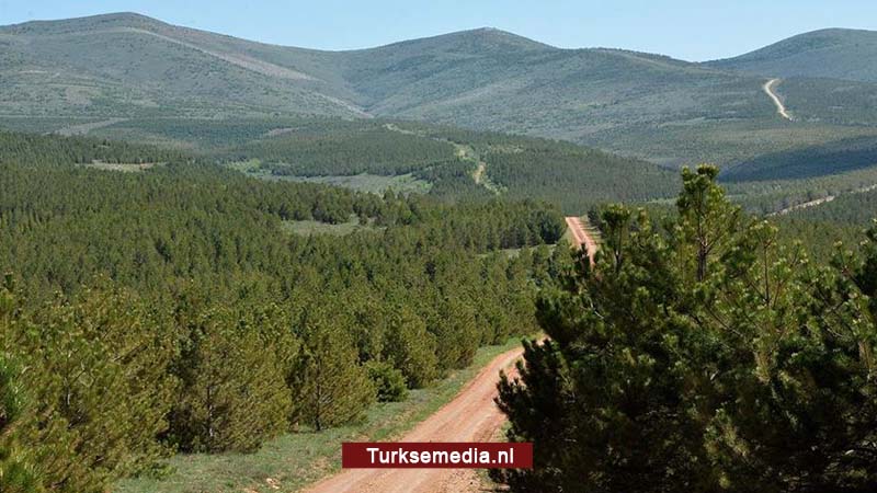 Turkije wereldwijd nummer drie in bebossing