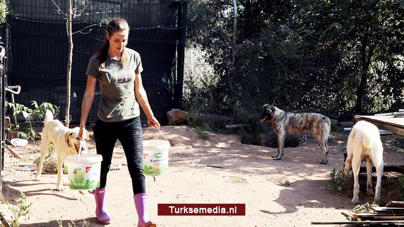 Nederlandse ‘beschermengel’ (29): Turkije is mijn land geworden