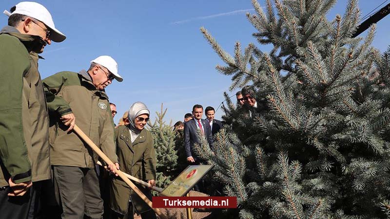 Heel Turkije plant binnen een dag 11 miljoen bomen