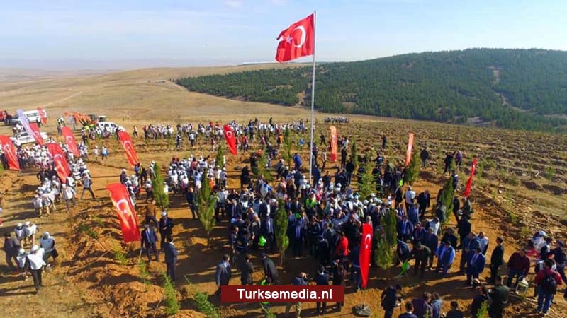 Turkije breekt wereldrecord bomen planten