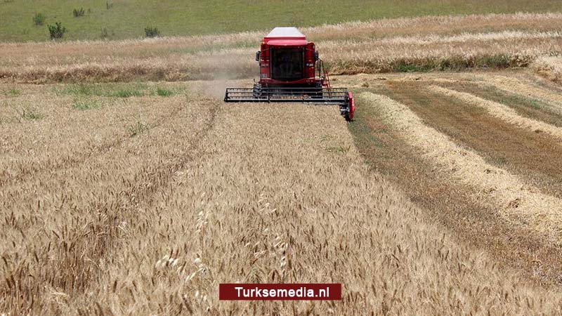 Turkije verdient miljarden aan tarwe-export