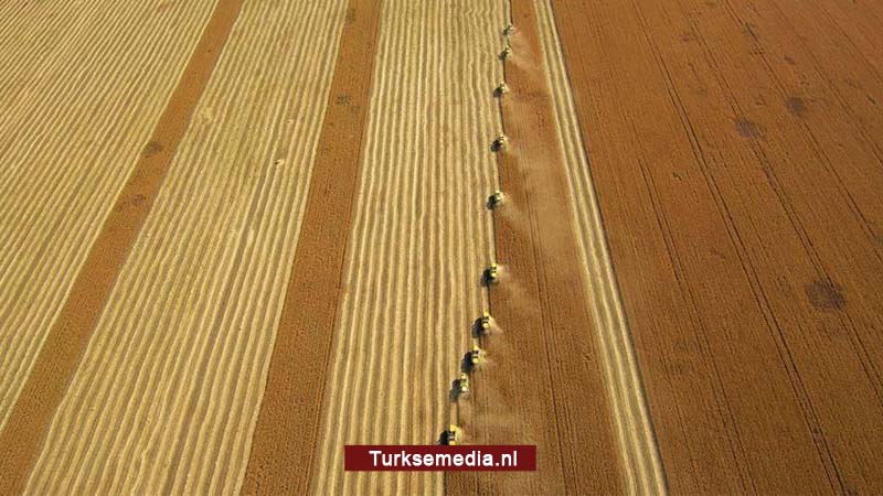 90 procent van de wereld nuttigt tarwebloem uit Turkije