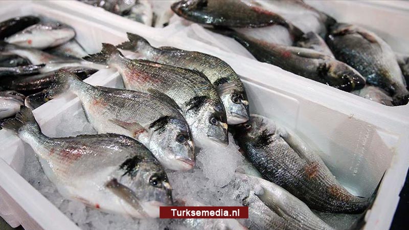 Nederland grootste klant Turkse visserij
