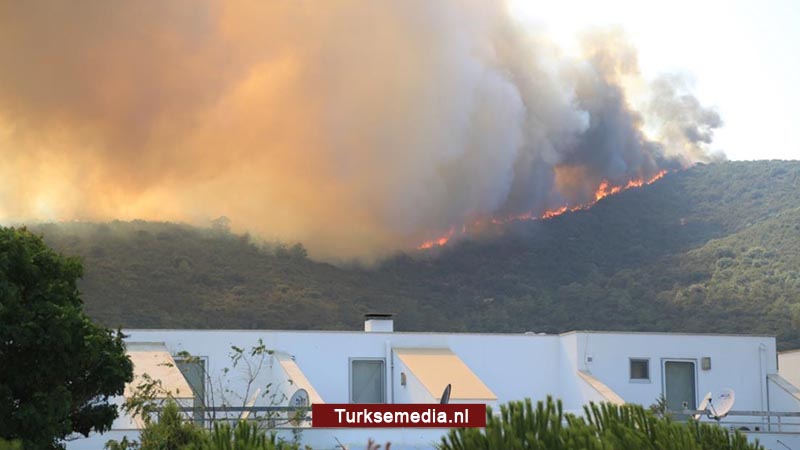 Klopjacht Turkije: 3 nieuwe arrestaties brandstichters bosbrand Muğla-Milas