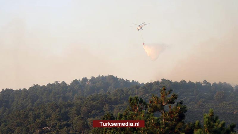 Nieuwe bosbrand in Turkse stad Denizli voorkomen, brandstichter gearresteerd