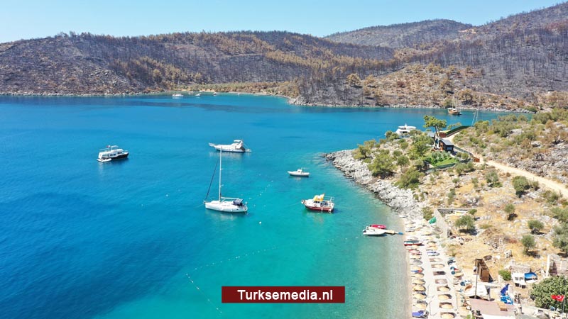 Turkije gaat 252 miljoen nieuwe bomen planten in uitgebrande bossen
