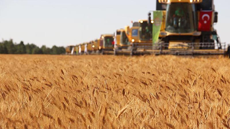 Turkije grootste landbouwproducent van Europa