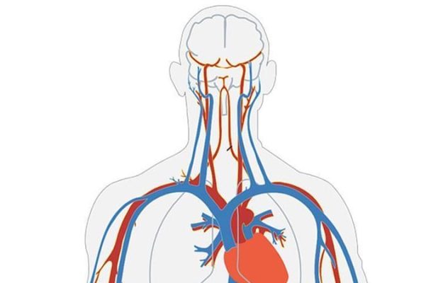Nieuwe microrobots kunnen medicijnen diep in het lichaam brengen