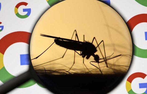 Google wil miljoenen muggen loslaten ’tegen ziektes’